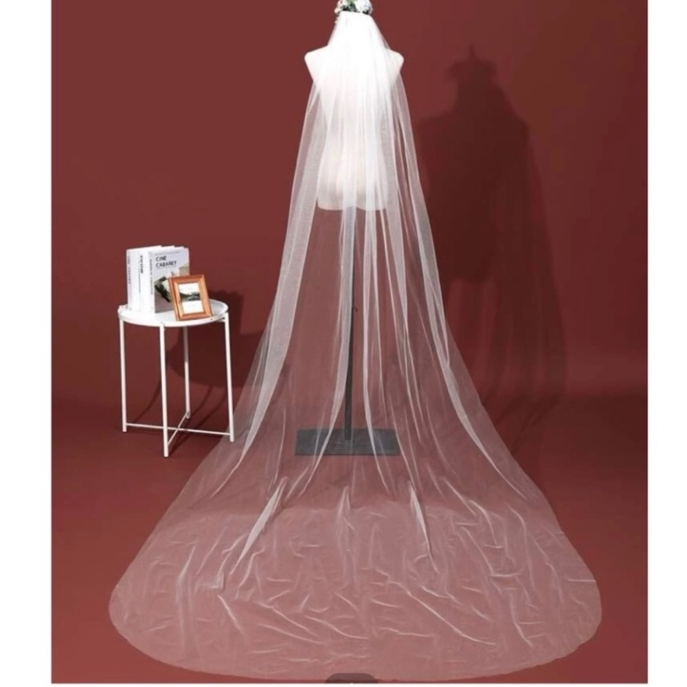 Stunning bridal veil